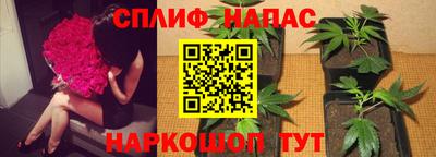 каннабис Малгобек