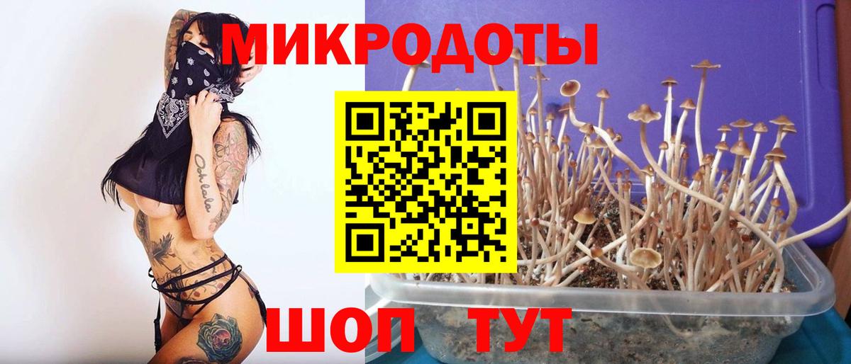 Галлюциногенные грибы Psilocybine cubensis  как найти   Гусиноозёрск  Вход с VPN 